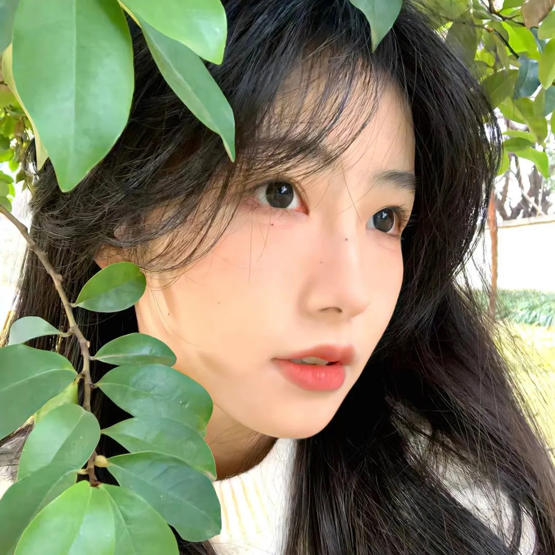 卫城记